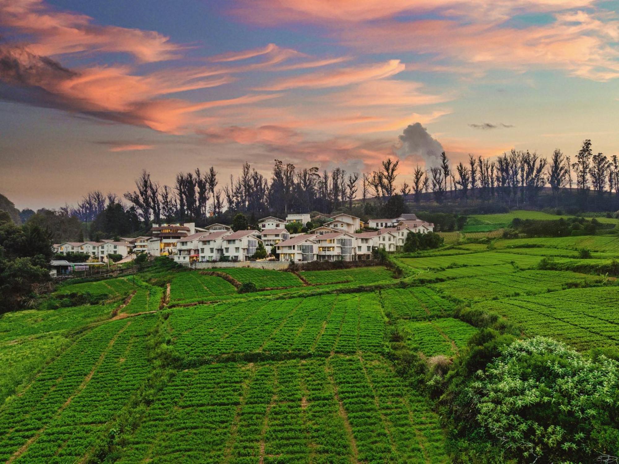 Mango Hill Shola Ooty Hotel ภายนอก รูปภาพ